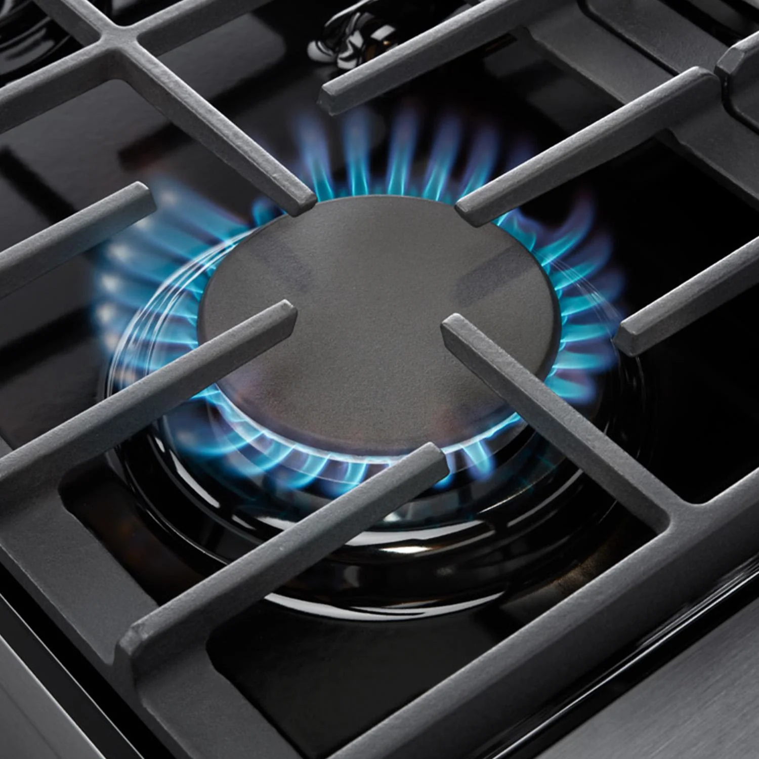 LRG4807ULP Thor Kitchen 48-inch Liquid Propane Range - Image 4